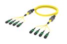 UKGMPMPCH [ARM TRUNK 48F MPO12F _ MPO12F SM]