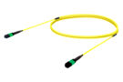 F3WMPMPAD [A_GM_M_AD_yellow_cable_and_green_jacket_black_boot_10_11_2019_jpg]