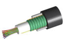 8106285/DB | O-006-CA-8W-M06NS [PC O-048-CA-XY-F12NS-60G]