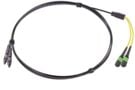 MHBD-F1N2C [12_fiber_drop_cable_assy_HMFOC_2-MPO]