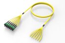 U3GRXUC8N [TRUNK MPO16 192F MPO-STUB SM]