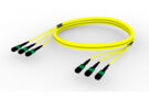 UJGRXRX8H [TRUNK MPO16 48F MPO-MPO SM]