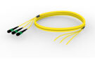 U3GRXUC8H [TRUNK MPO16 48F MPO-STUB SM]