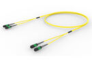 U3GQXQXTR [TRUNK MPO08 16F MPO - MPO SM]