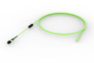 U3VQPUCT8 [TRUNK MPO08 8F MPO - STUB MM OM5]