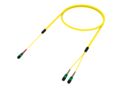 URG2DQP7R [ARRAY 1X2 16F MPO 24F - MPO 8F SM]