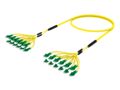 U4GLGLGCF [DBL RUGGED 24F LC APC-LC APC SM]