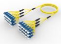 U4GLCLCCG [DBL RUGGED 36F LC UPC-LC UPC SM]