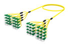 UNGLGLGCH [DBL RUGGED 48F LC APC-LC APC SM]