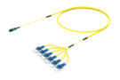 ULGMXLFCD [RUGGED 12F MPO-LC UPC SM]