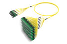 ULGMPSACL [RUGGED 96F MPO-SC APC SM]