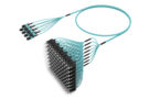 ULXMXSCCL [RUGGED 96F MPO-SC MM OM4]