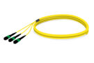 U3GMXUCCG [TRUNK 36F MPO-STUB SM]