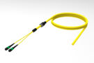 UKGMXUCAF [TRUNK ARM 24F MPO-STUB SM]