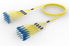 1676892 | FPM-07/K-AT032M-25/39 [DBL RUGGED 32F SN-LU]