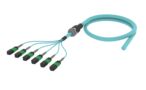 UKXQZUCTH [ARM TRUNK 48F MPOAPC8F - UC MM OM4]