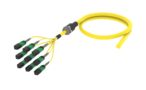 UKGQXUCTK [ARM TRUNK 72F MPO8F - UC SM]