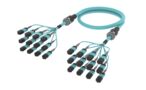 UHXQXQXTL [ARM TRUNK 96F MPO8F - MPO8F MM OM4]