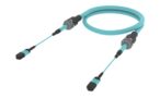 UHXMXMXCD [ARM TRUNK 12F MPO12F -MPO12F MM OM4]