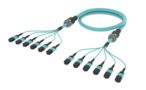 UKXMXMXCK [ARM TRUNK 72F MPO12F - MPO12F MM OM4]