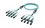 UKXMXMXCL [ARM TRUNK 96F MPO12F - MPO12F MM OM4]